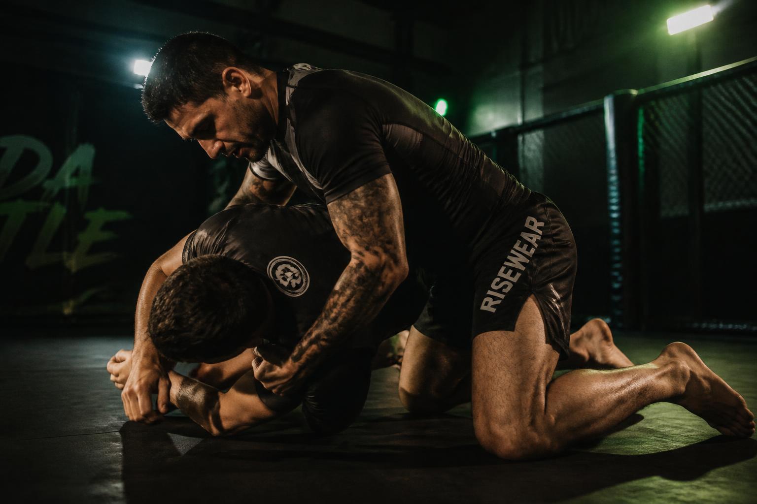 MMA & boksen